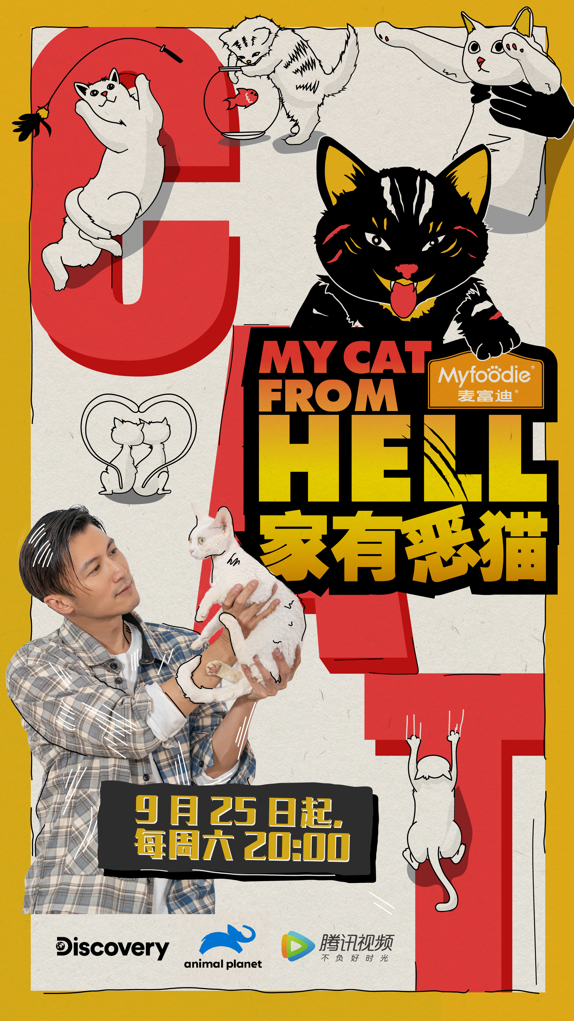 家有恶猫的海报-正式海报