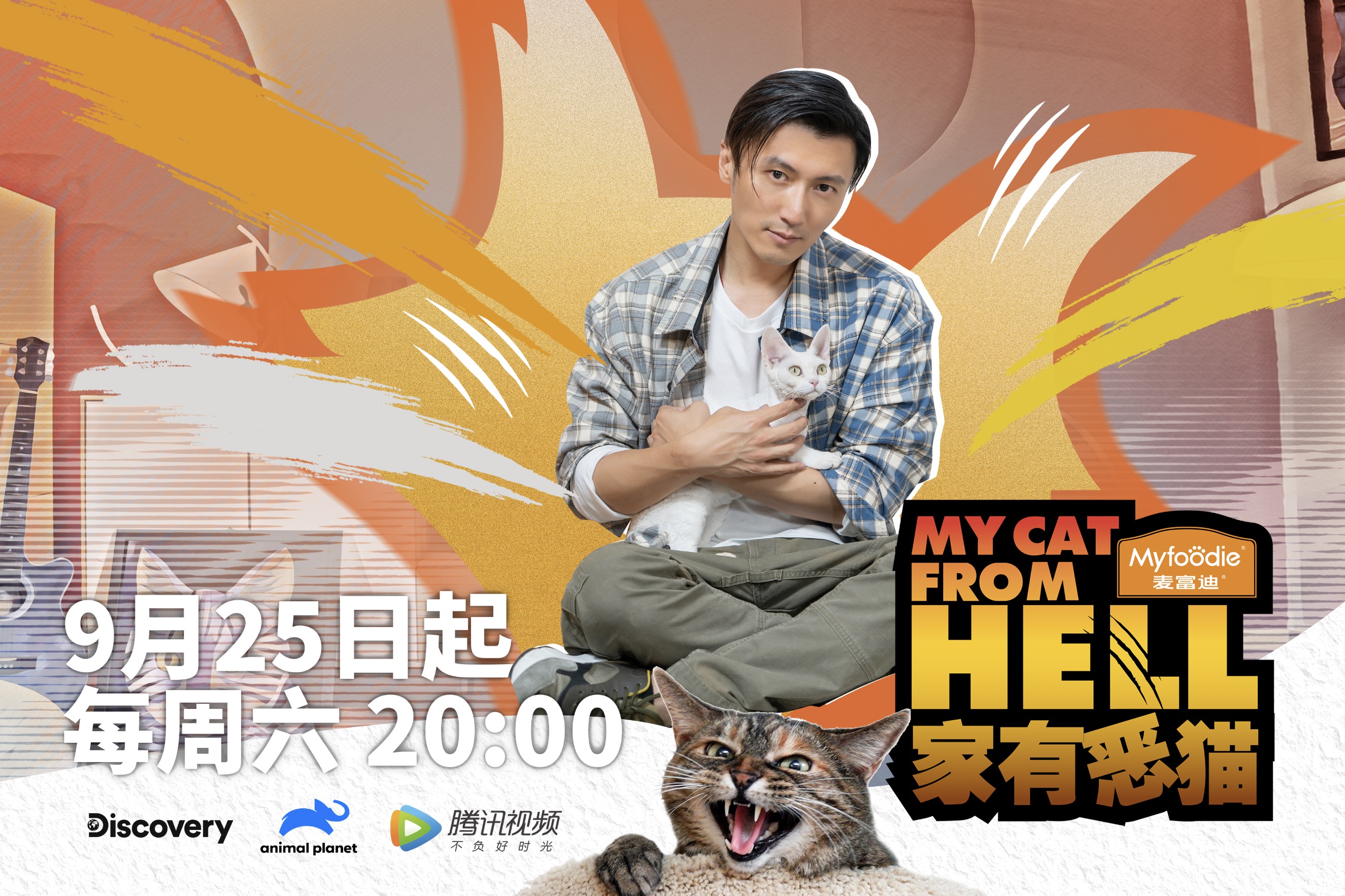 家有恶猫的海报-正式海报