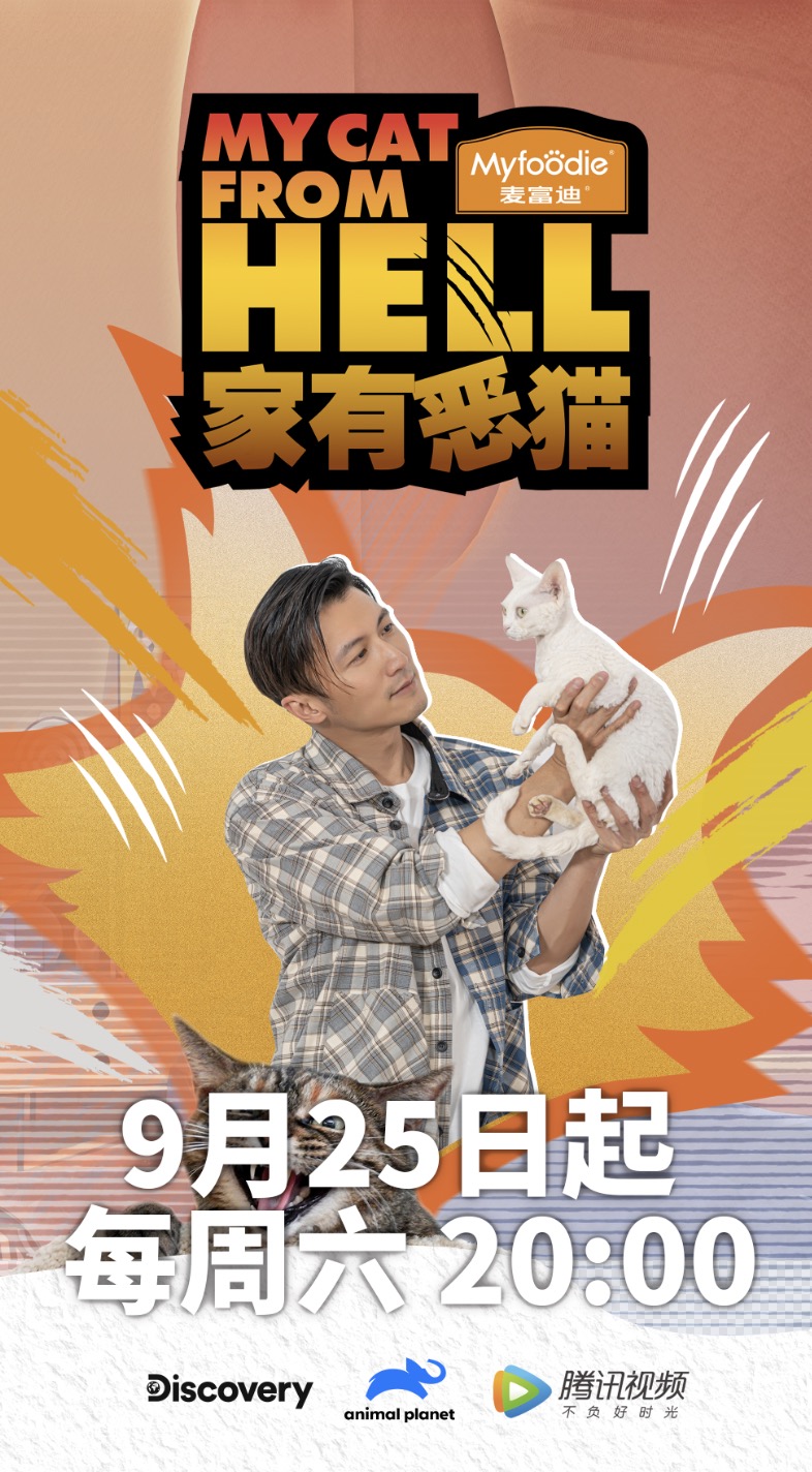 家有恶猫的海报-正式海报