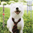 犬饲先生养狗记