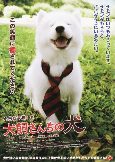 犬饲先生养狗记的海报-正式海报 日本
