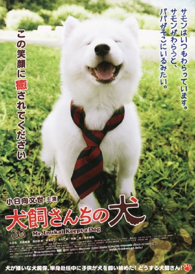 犬饲先生养狗记的海报-正式海报