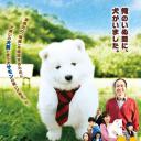 犬飼さんちの犬