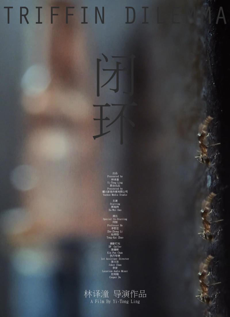 闭环的海报-正式海报