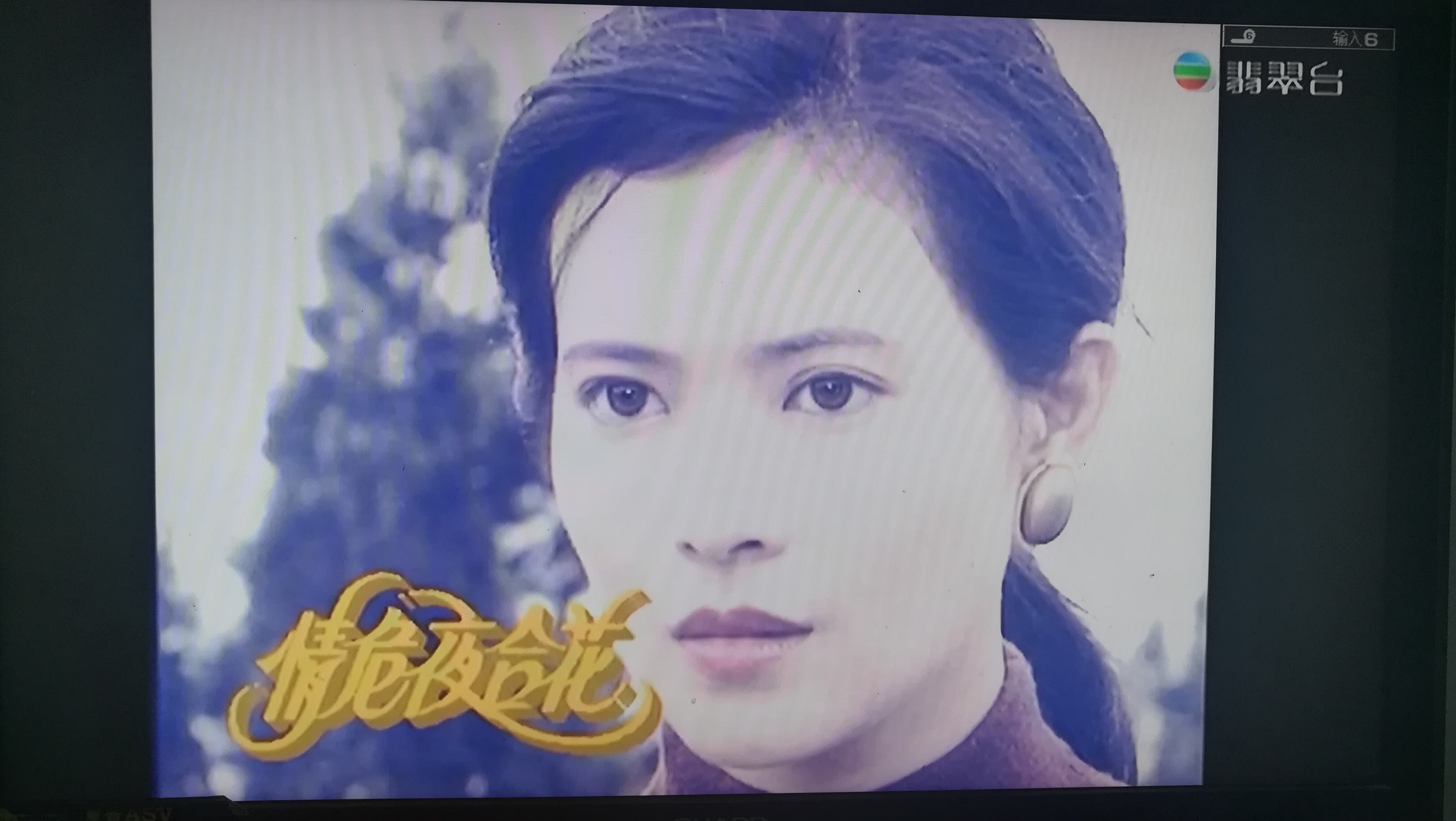 情危夜合花的海报-其他海报