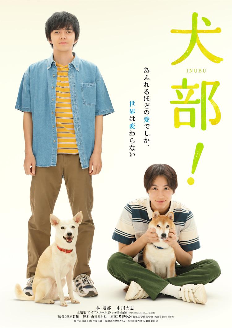 犬部！的海报-正式海报