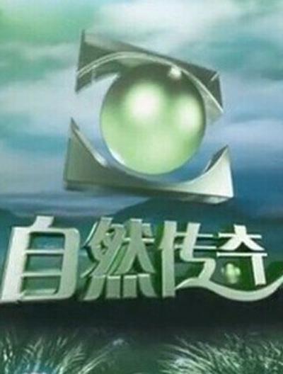 自然传奇的海报-正式海报