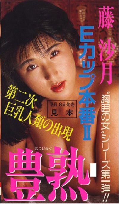 Ｅカップ本番 ＩＩ 豊熱的海报-正式海报 日本