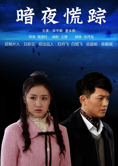 暗夜慌踪的海报-正式海报