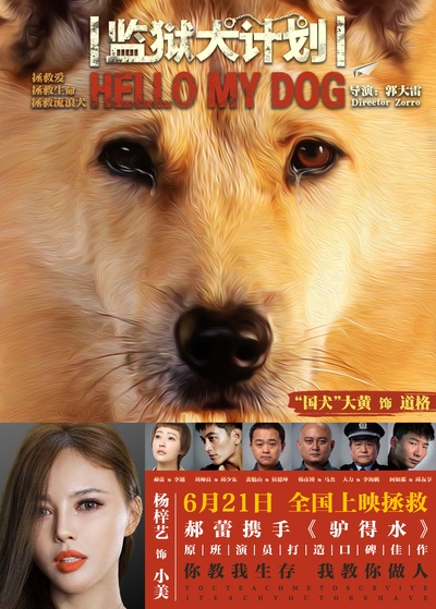 监狱犬计划的海报-角色海报 中国大陆