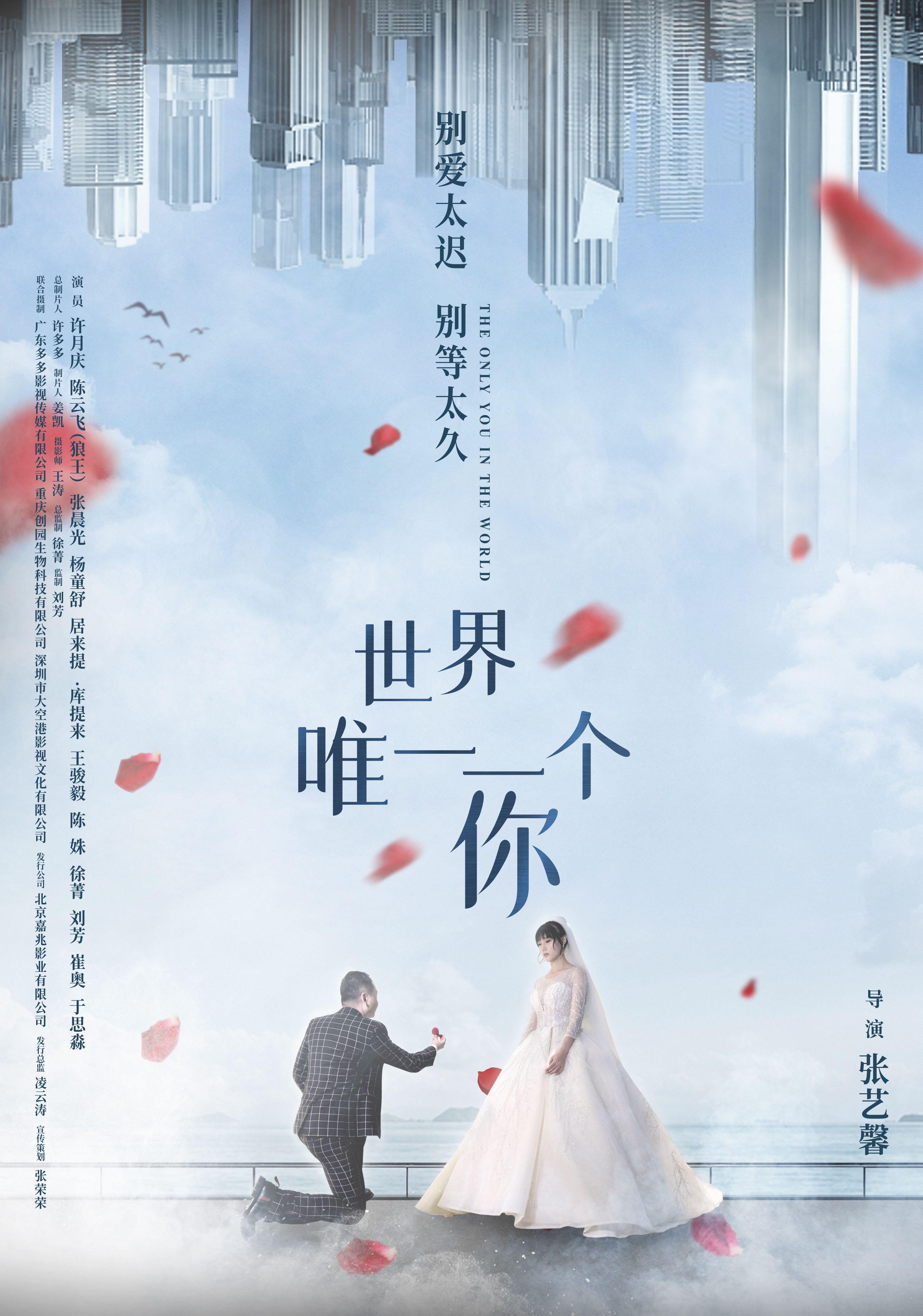 世界唯一一个你的海报-正式海报