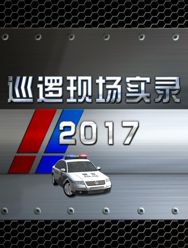 巡逻现场实录2017的海报-正式海报