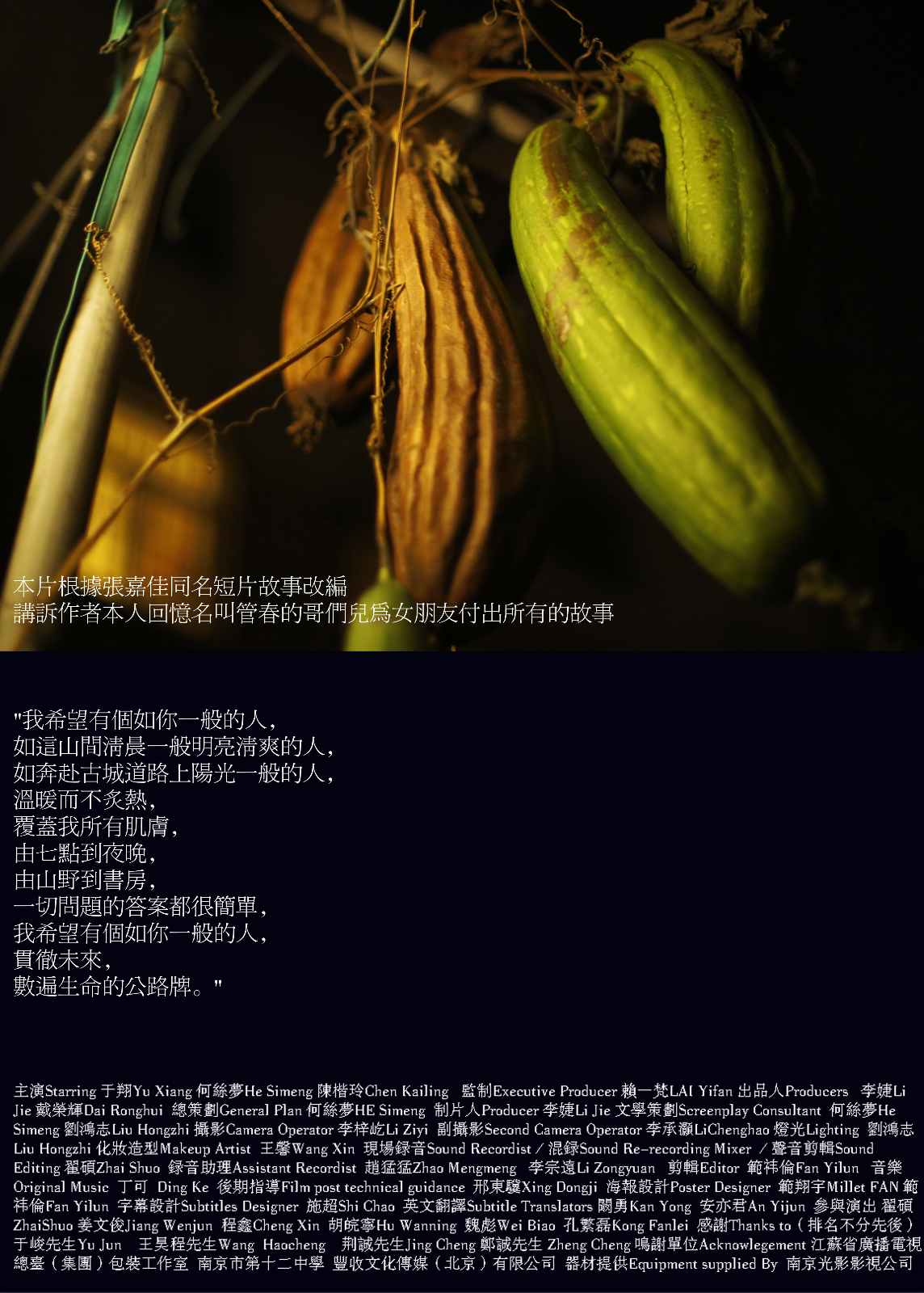 希望有个如你一般的人的海报-其他海报 中国大陆