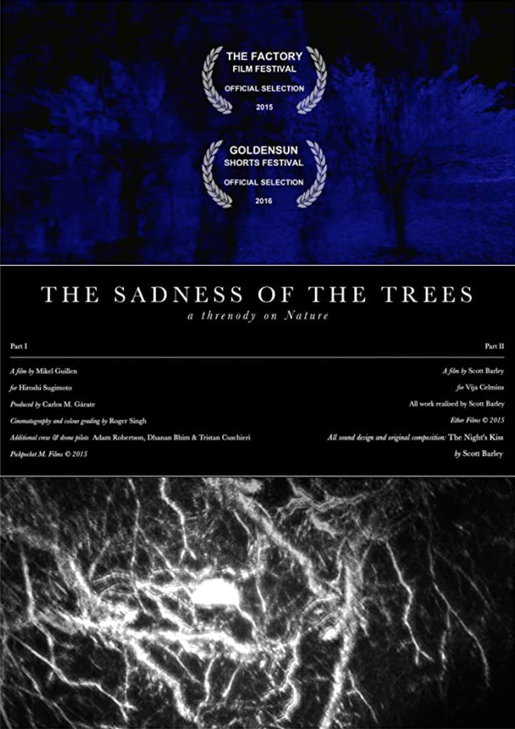 The Sadness of Trees的海报-正式海报