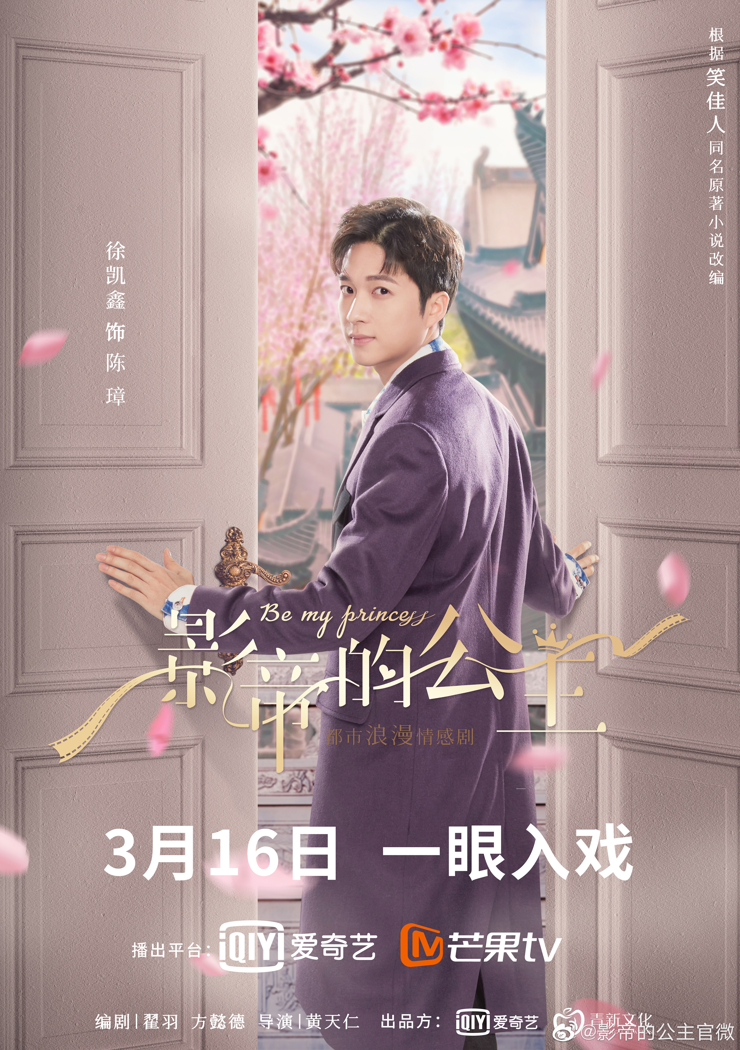 影帝的公主的海报-角色海报