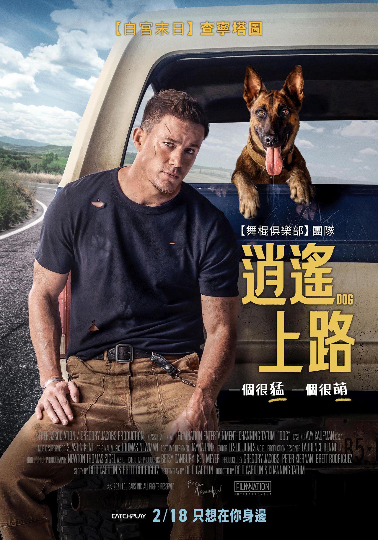 忠犬的海报-正式海报 中国台湾
