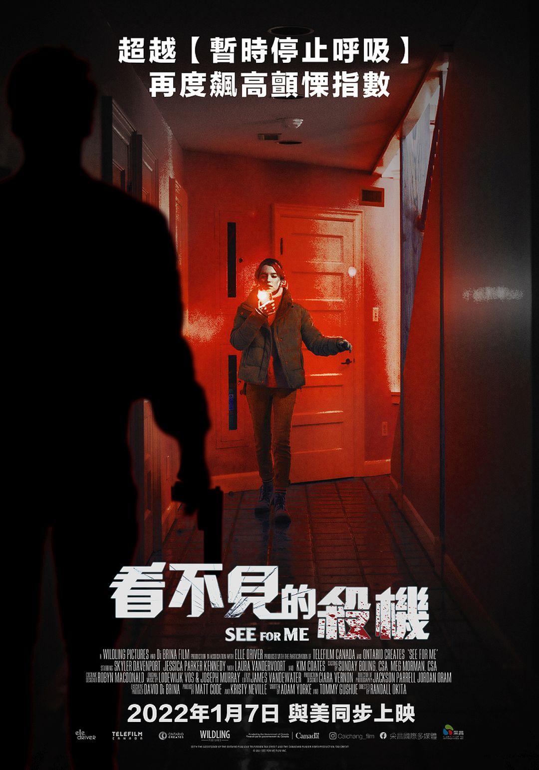 帮我看看的海报-正式海报 中国台湾