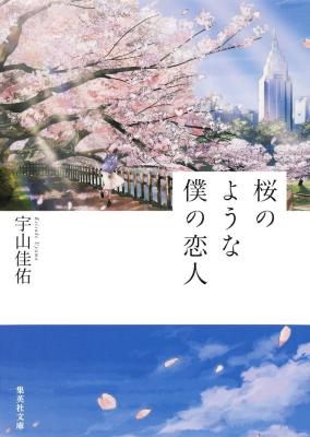 我的樱花恋人的海报-正式海报