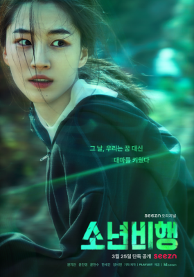 少年不良的海报-正式海报 韩国