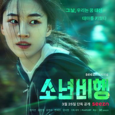 少年不良的海报-正式海报 韩国