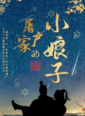 玉面桃花总相逢的海报-正式海报