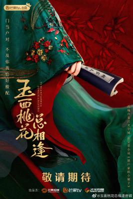 玉面桃花总相逢的海报-正式海报