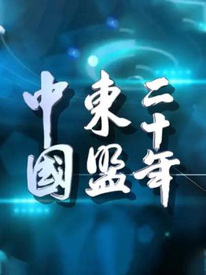 中国东盟二十年的海报-正式海报