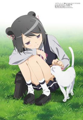 魔法纪录：魔法少女小圆外传 最终季 -浅梦之晓-的海报-其他海报