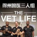 德州兽医三人组 第一季