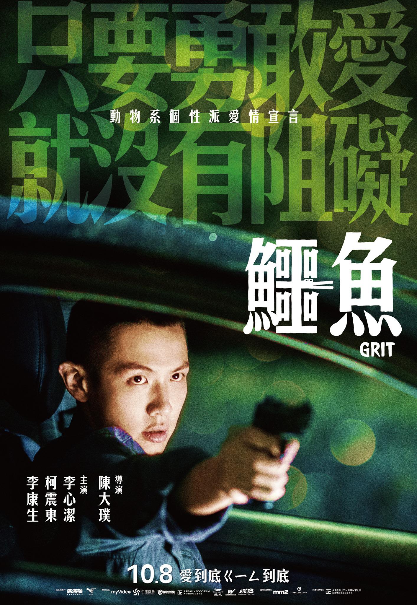 鳄鱼的海报-正式海报