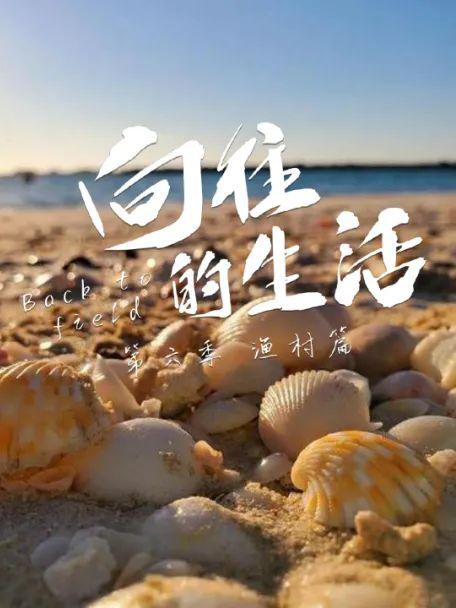 向往的生活 第六季的海报-正式海报
