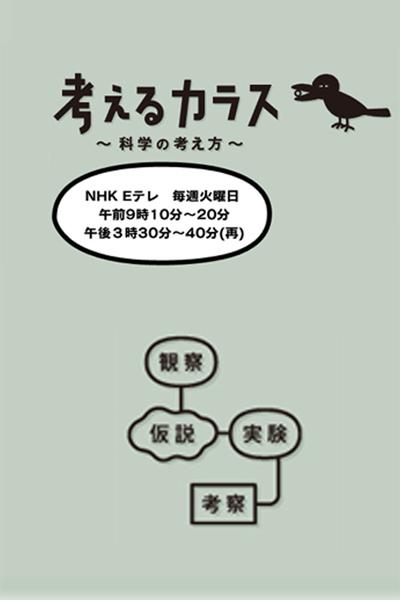 像乌鸦一样思考的海报-正式海报