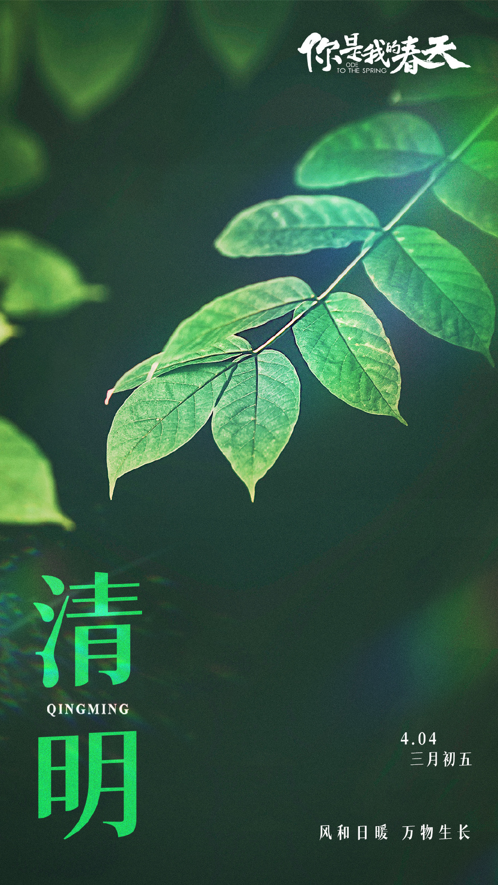 你是我的春天的海报-其他海报 中国大陆