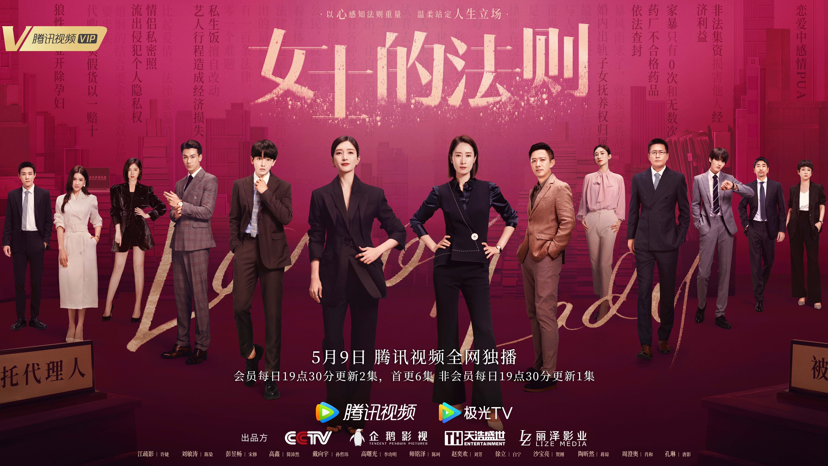 女士的法则的海报-正式海报