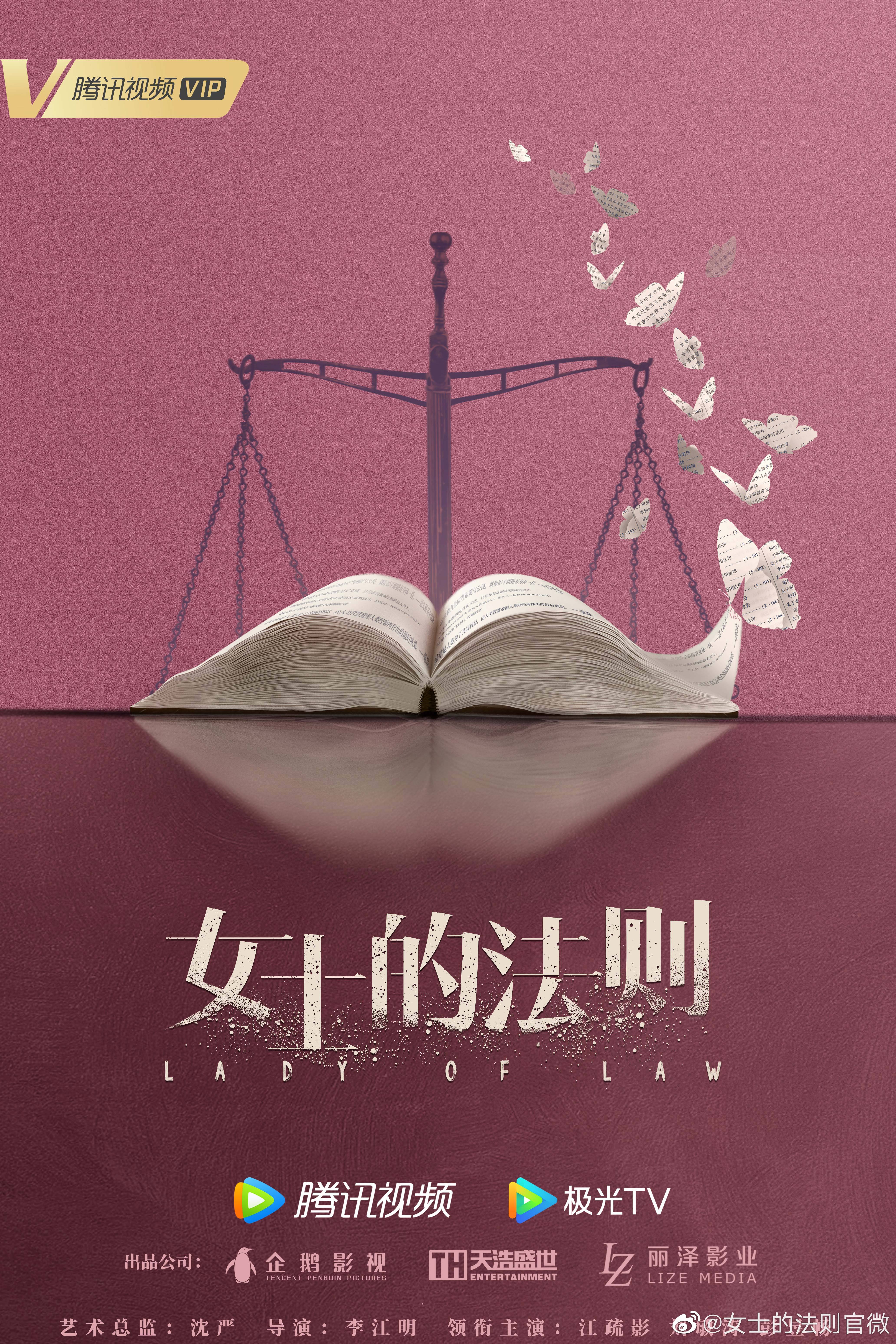 女士的法则的海报-预告海报