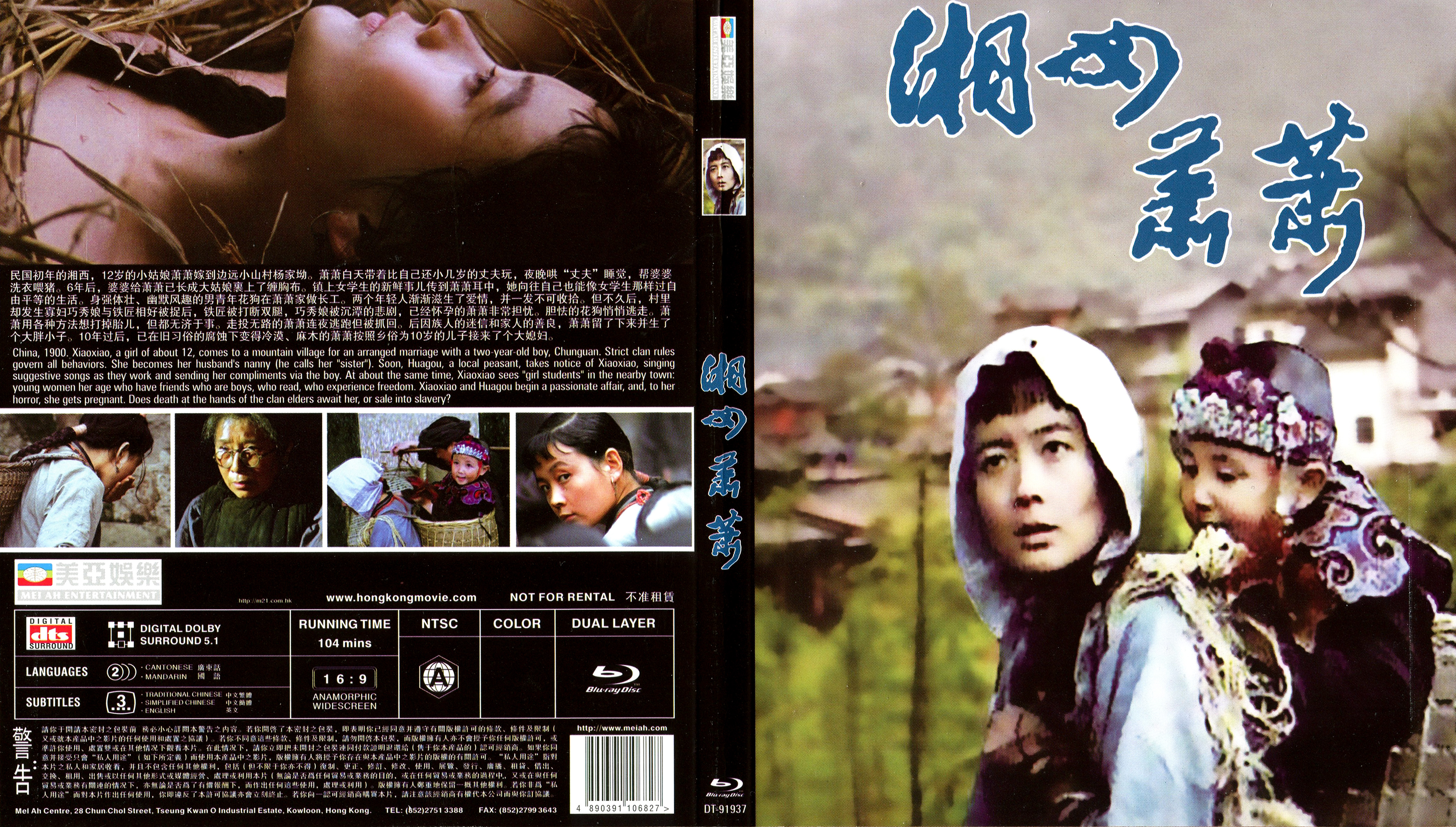 湘女萧萧的海报-其他海报