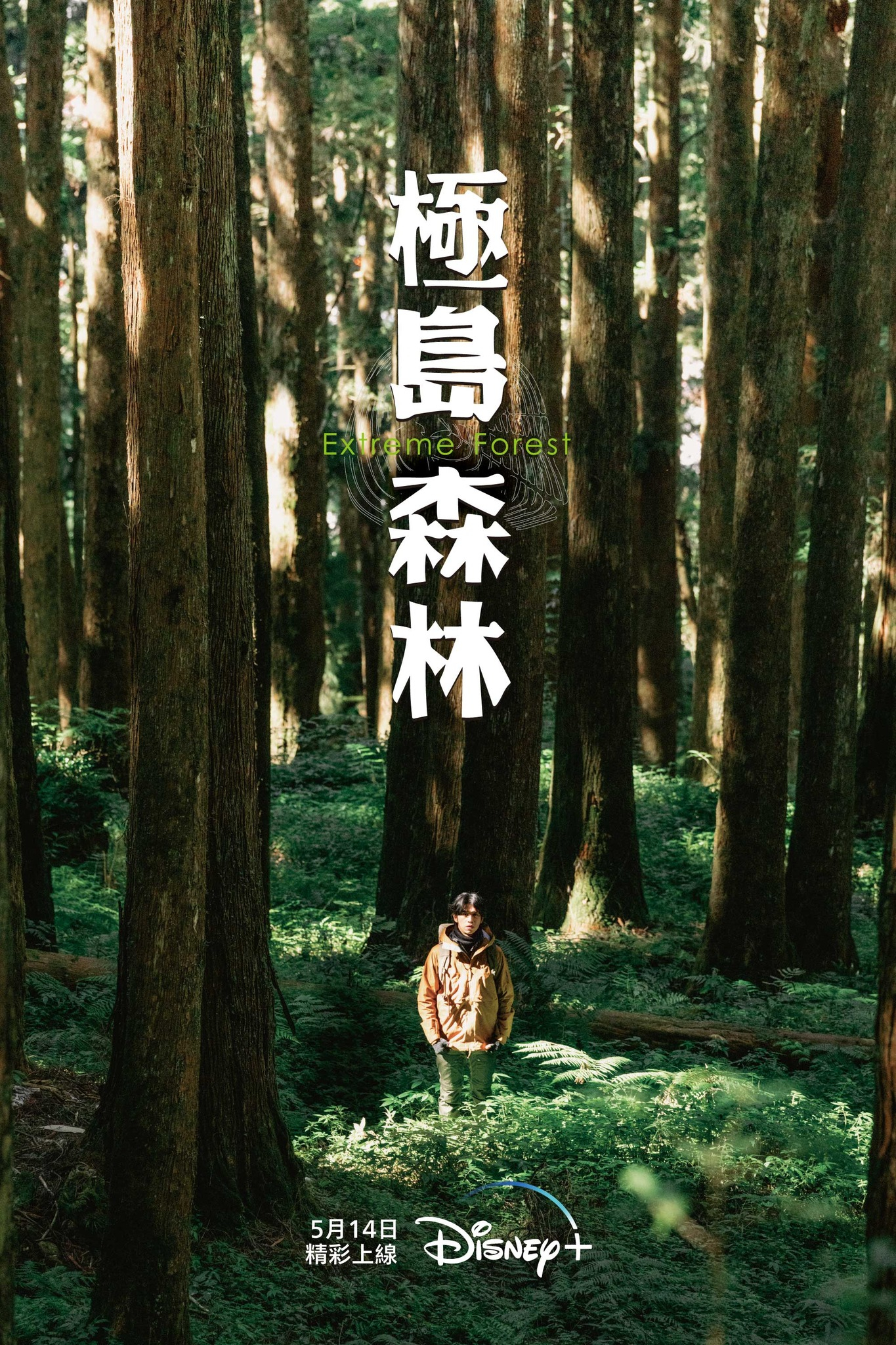 极岛森林的海报-正式海报