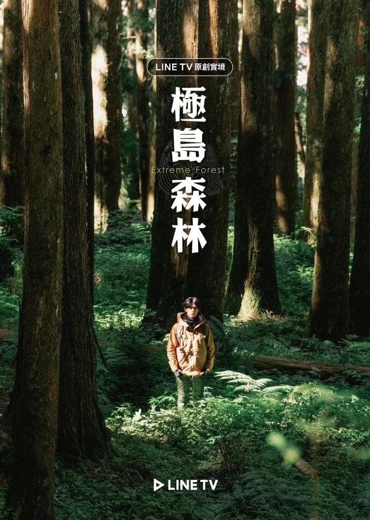 极岛森林的海报-正式海报