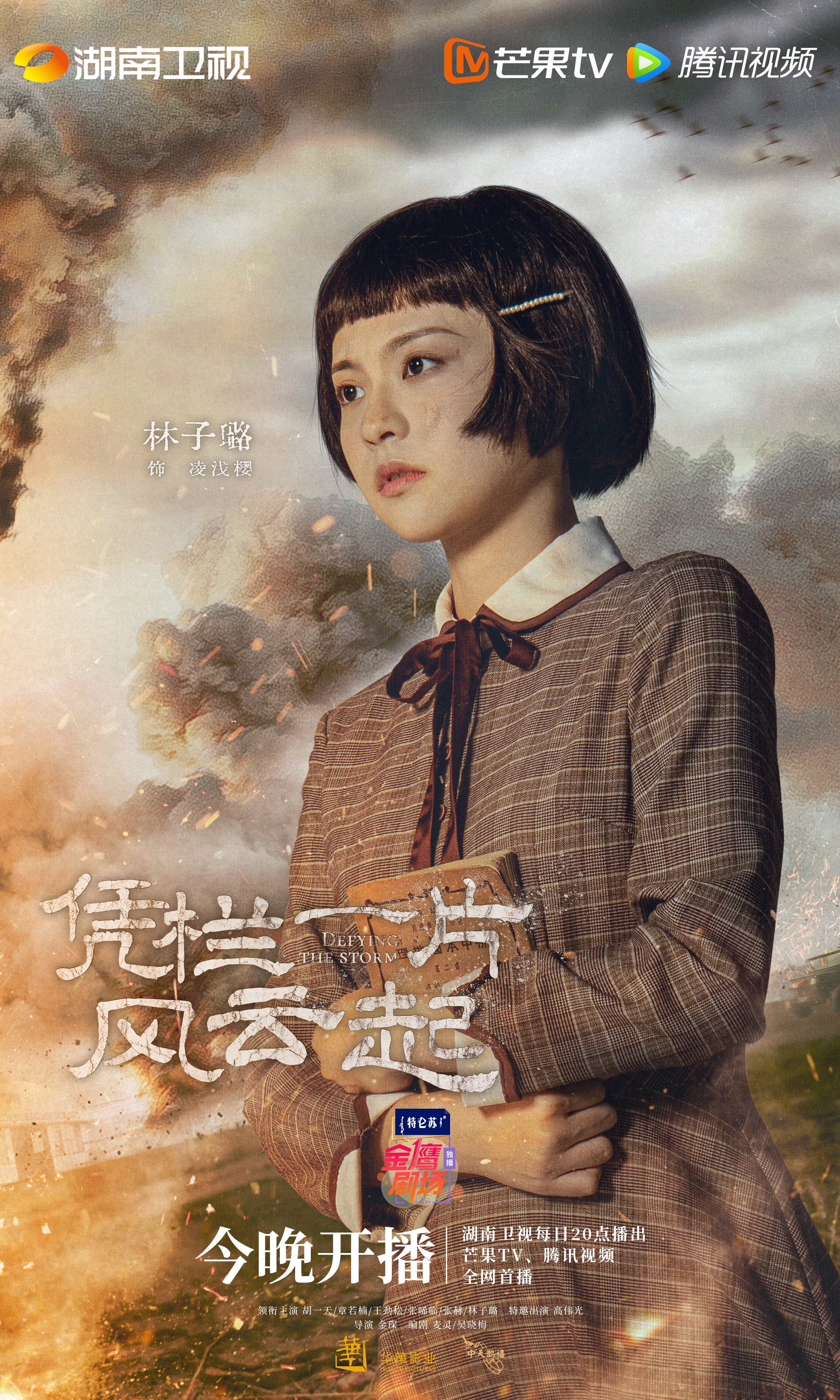 凭栏一片风云起的海报-正式海报