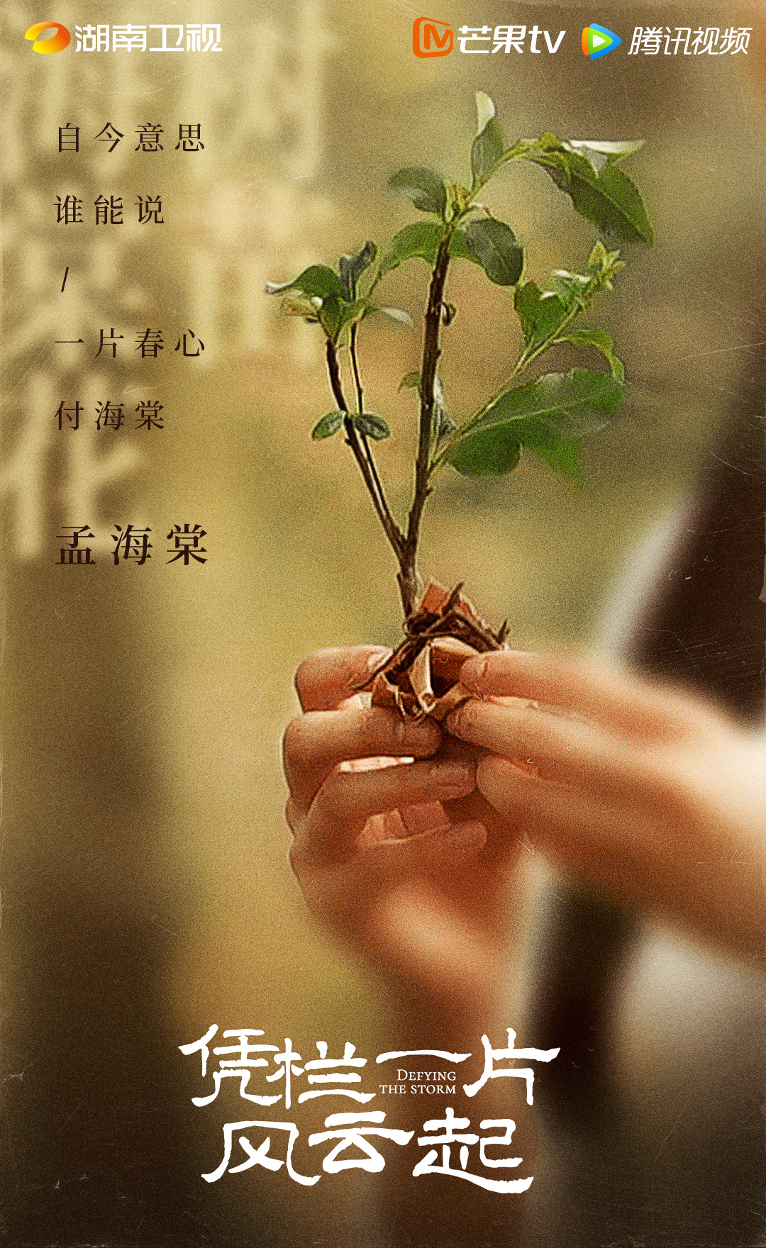 凭栏一片风云起的海报-正式海报