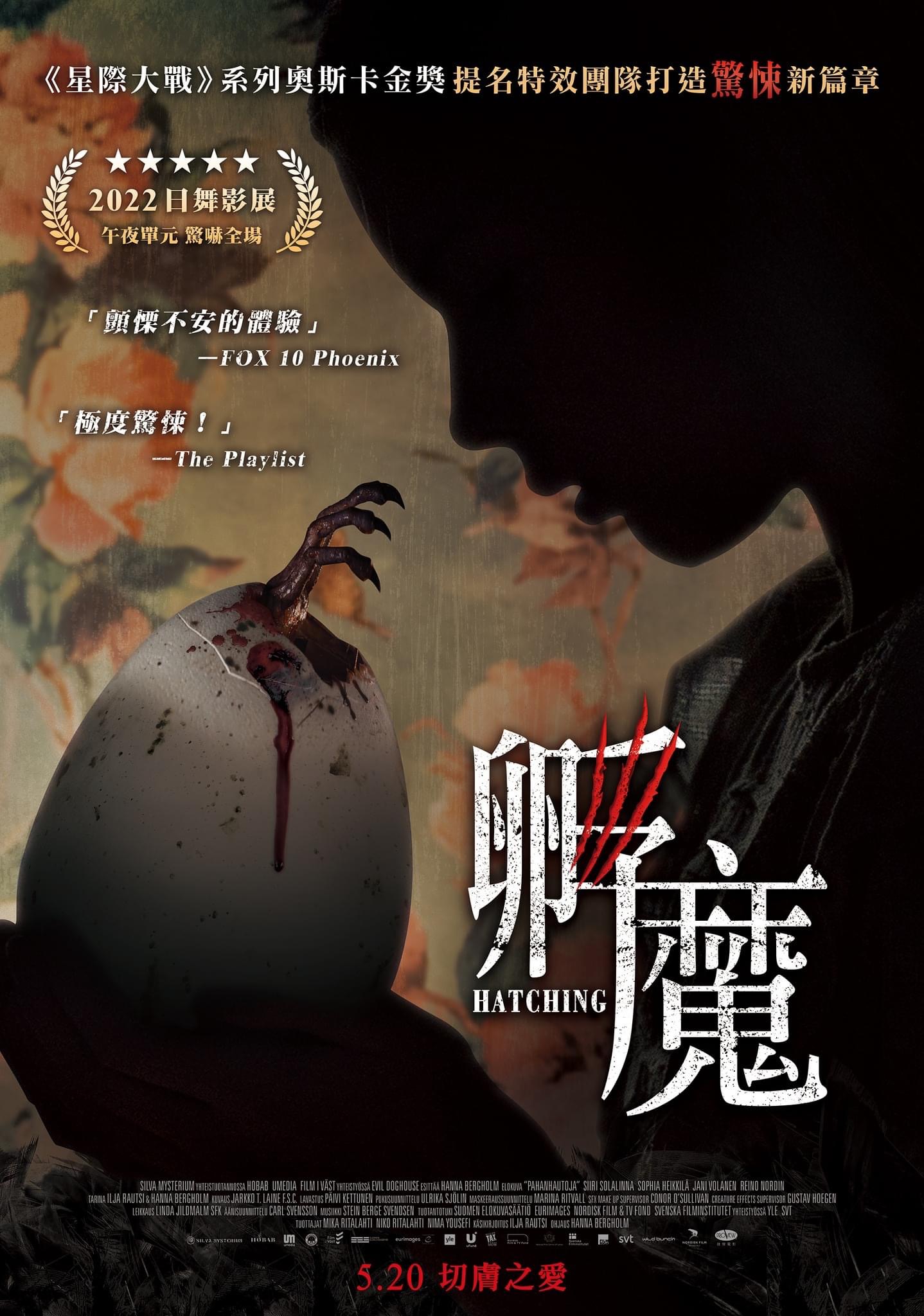 孵化的海报-正式海报 中国台湾