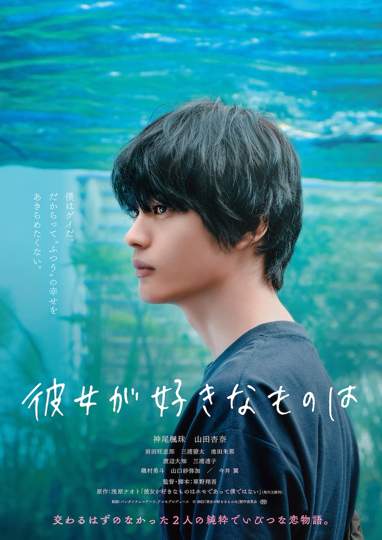 她喜欢的是的海报-角色海报