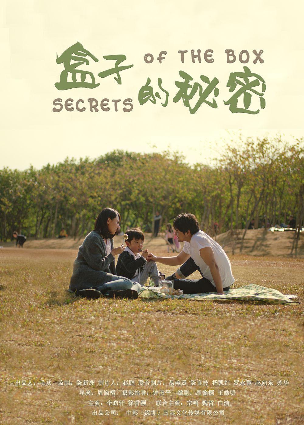 盒子的秘密的海报-正式海报
