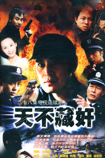 天不藏奸的海报-正式海报 中国大陆