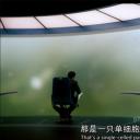 尼尔·德格拉塞·泰森