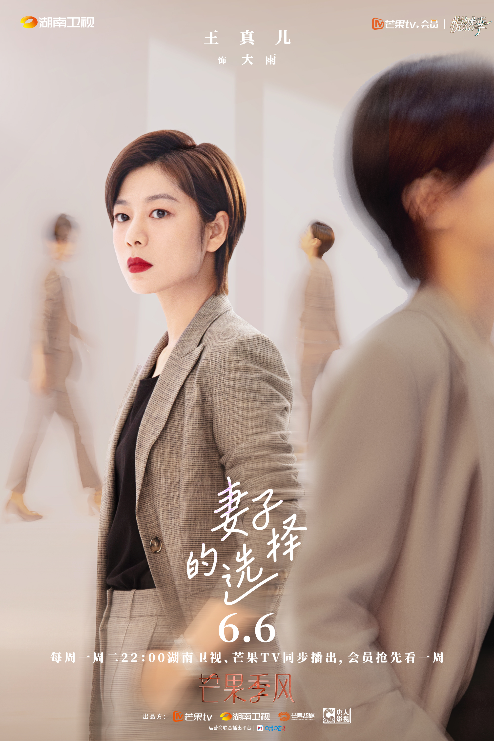 妻子的选择的海报-角色海报