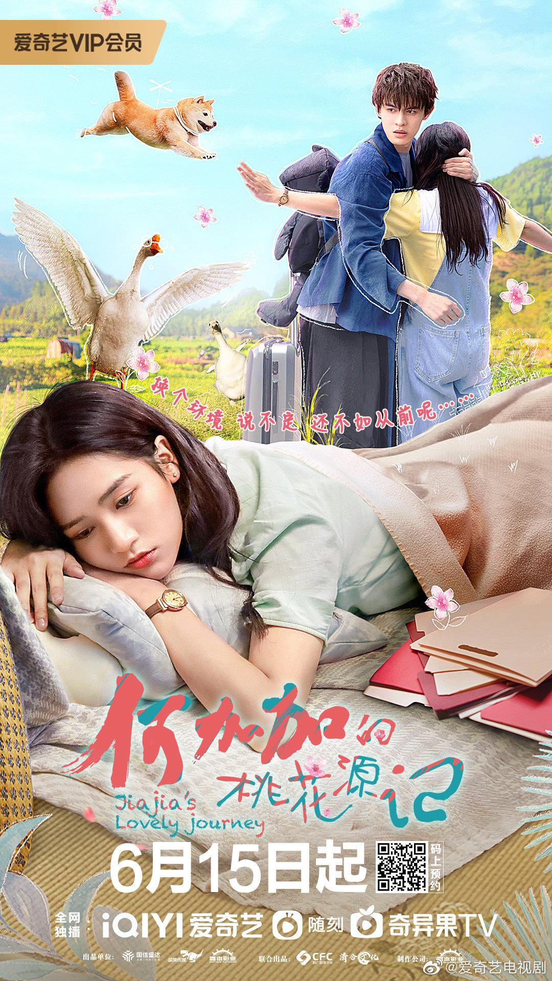 何加加的桃花源记的海报-正式海报