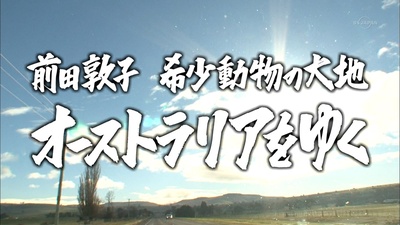 前田敦子：前往珍稀动物的栖息地澳大利亚的海报-预告海报