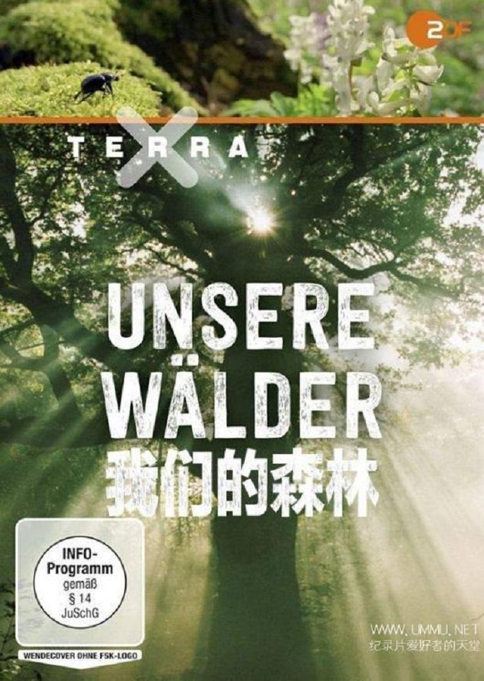 我们的森林的海报-正式海报