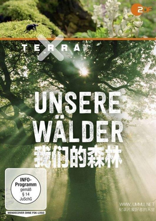 我们的森林的海报-正式海报